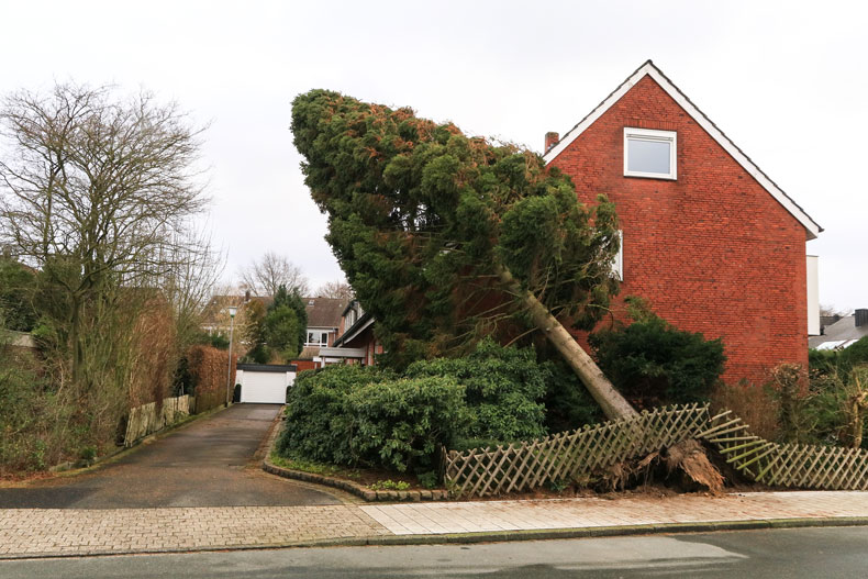 Wohngebäudeschaden durch herabstürzenden Baum